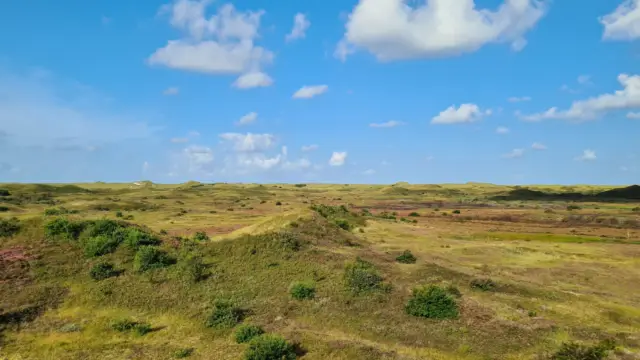 Westerduinen Franciska van Gortel 2