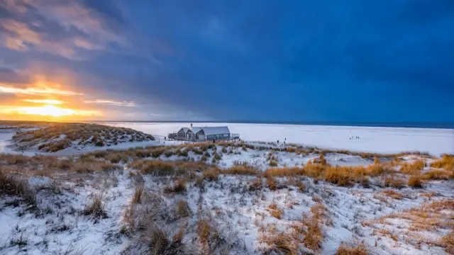 Winterbeeld Texel
