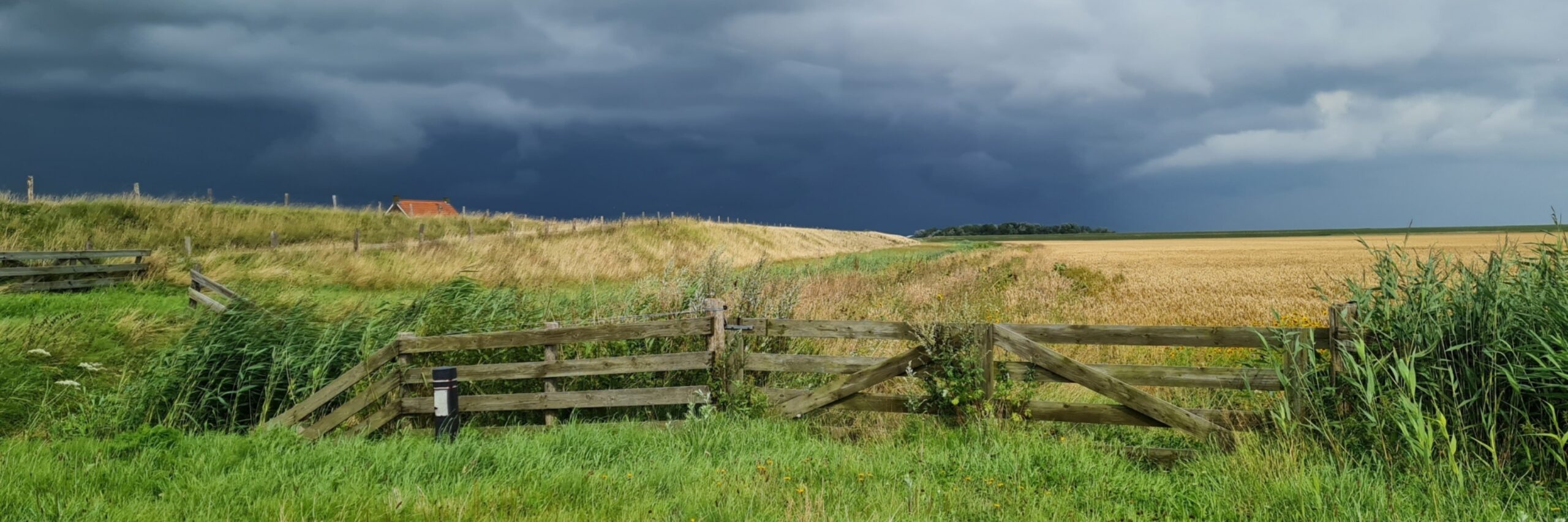 Een weiland VVV Texel fotograaf Familie Dijkgraaf
