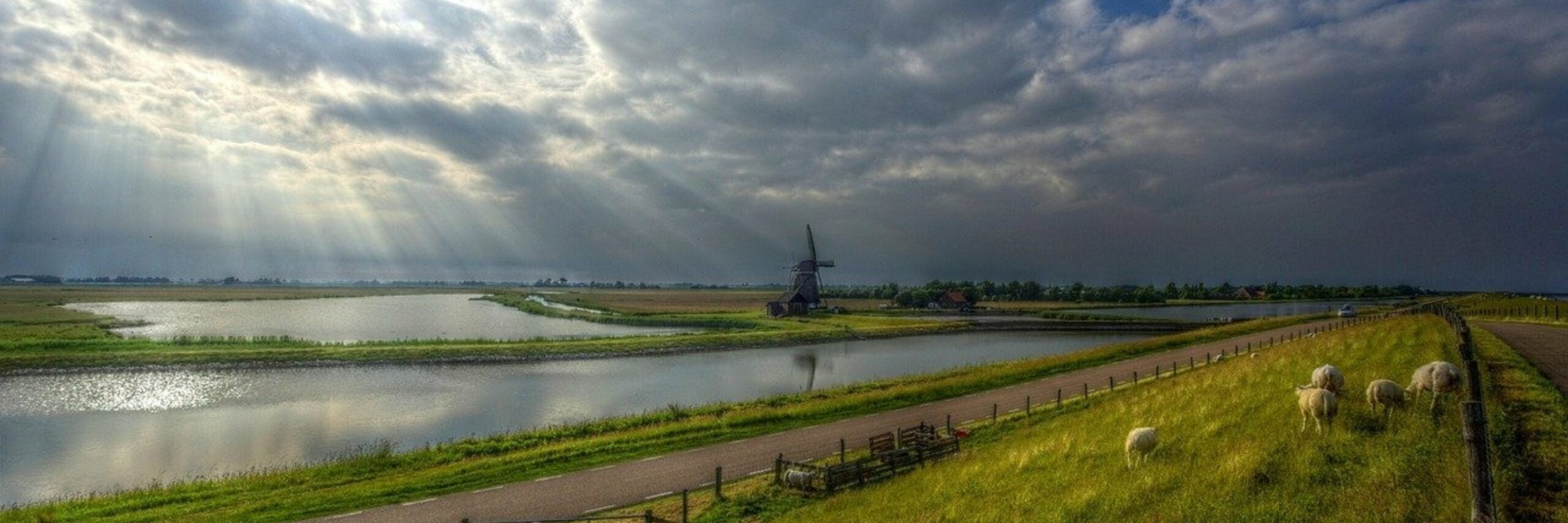 Molen het Noorden waddendijk met schapen VVV Texel