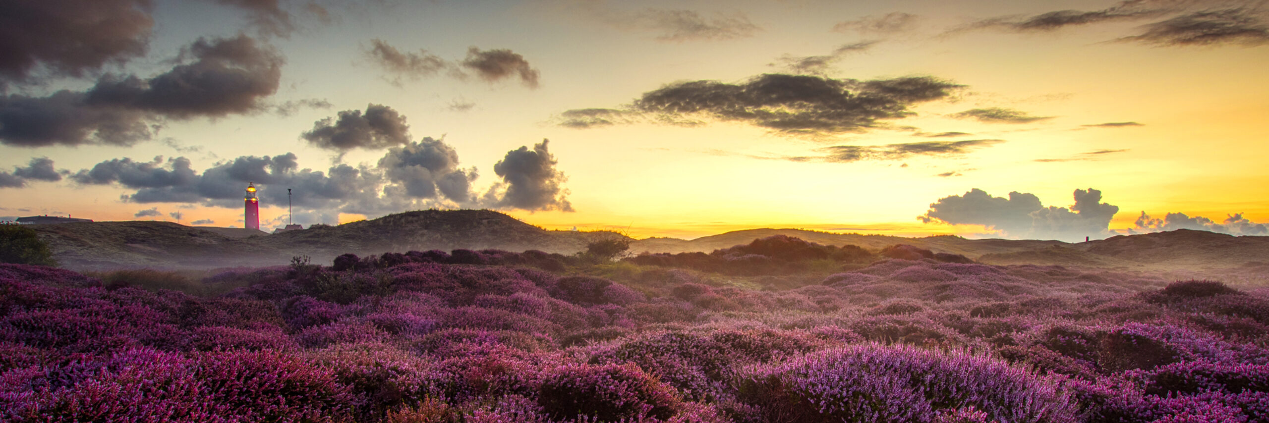 Paarse heide zonsondergang VVV Texel Rob Sprenger
