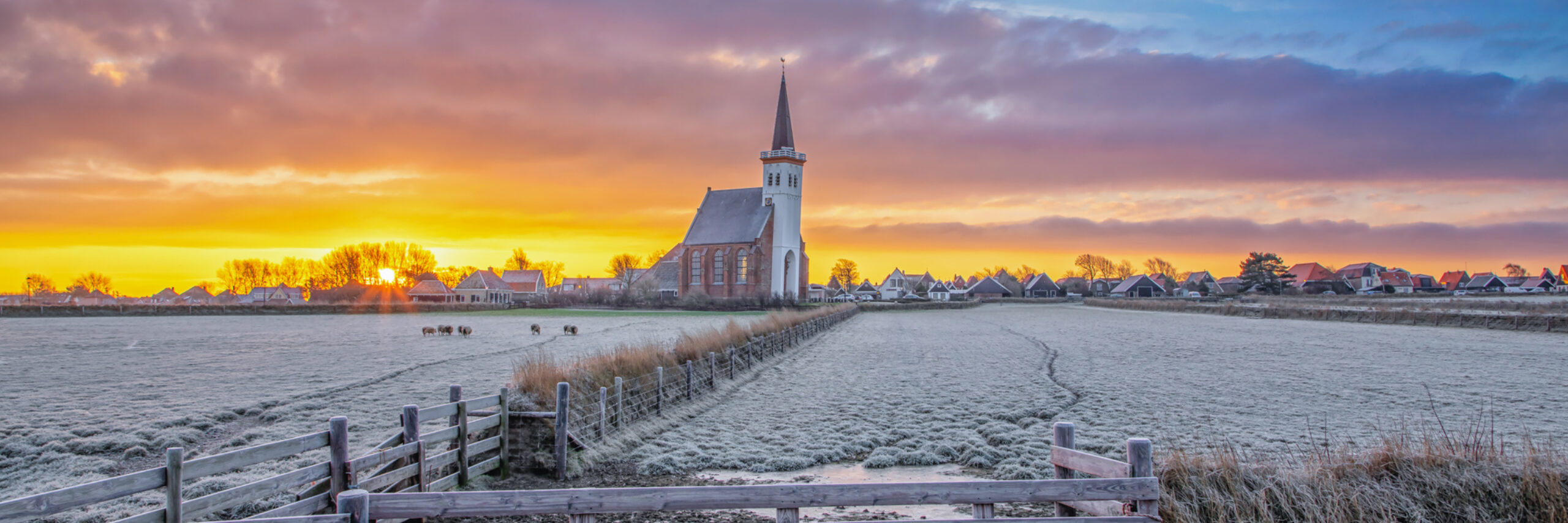 Winterbeeld Texel