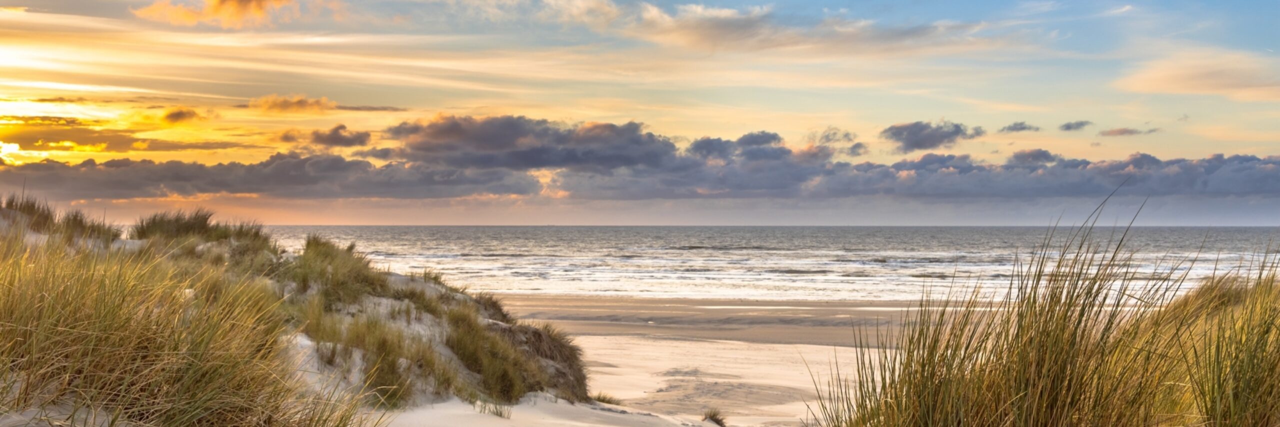 Duinen 1917290465 kopie 2