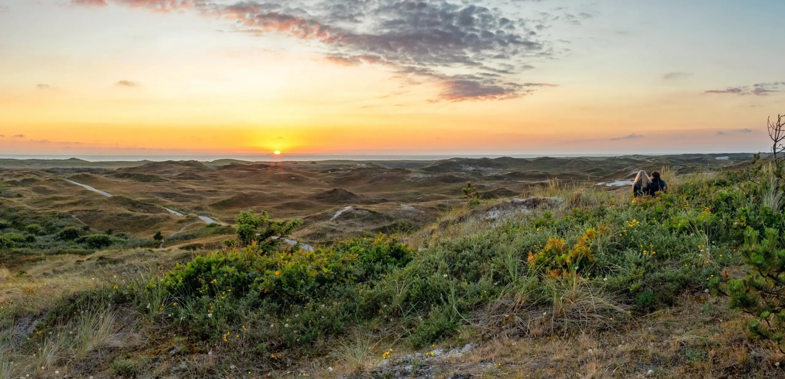Couple in the dunes