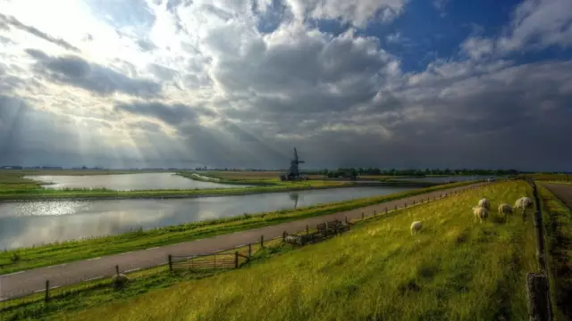 Molen het Noorden waddendijk met schapen VVV Texel