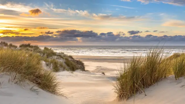 Duinen