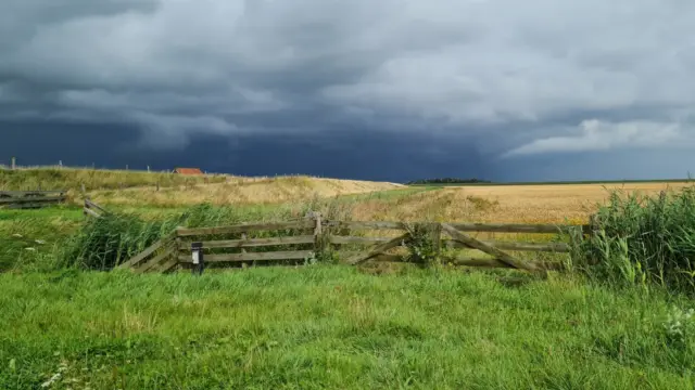 Een weiland VVV Texel fotograaf Familie Dijkgraaf