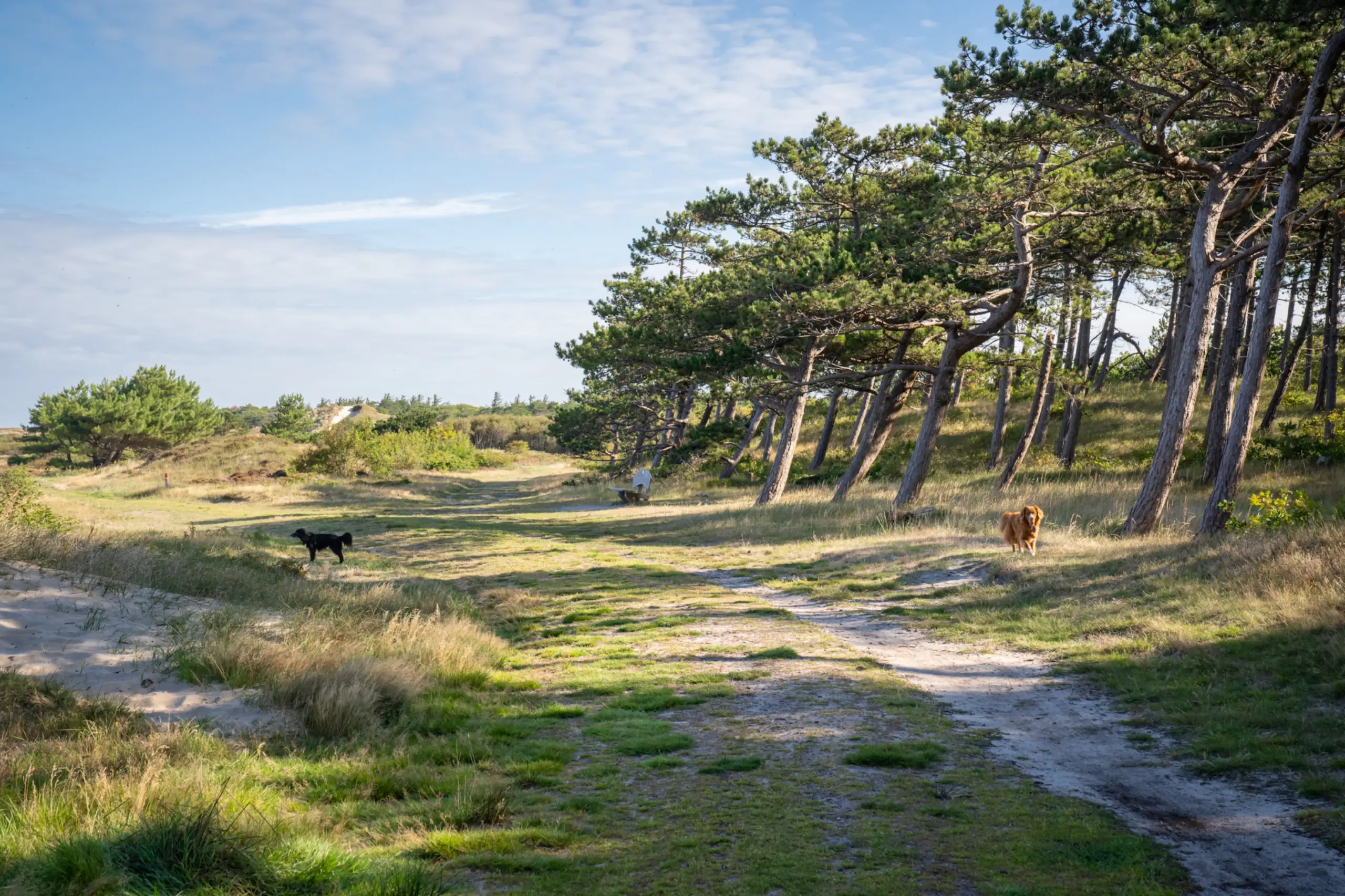 Wandelen richting de Bleekersvallei