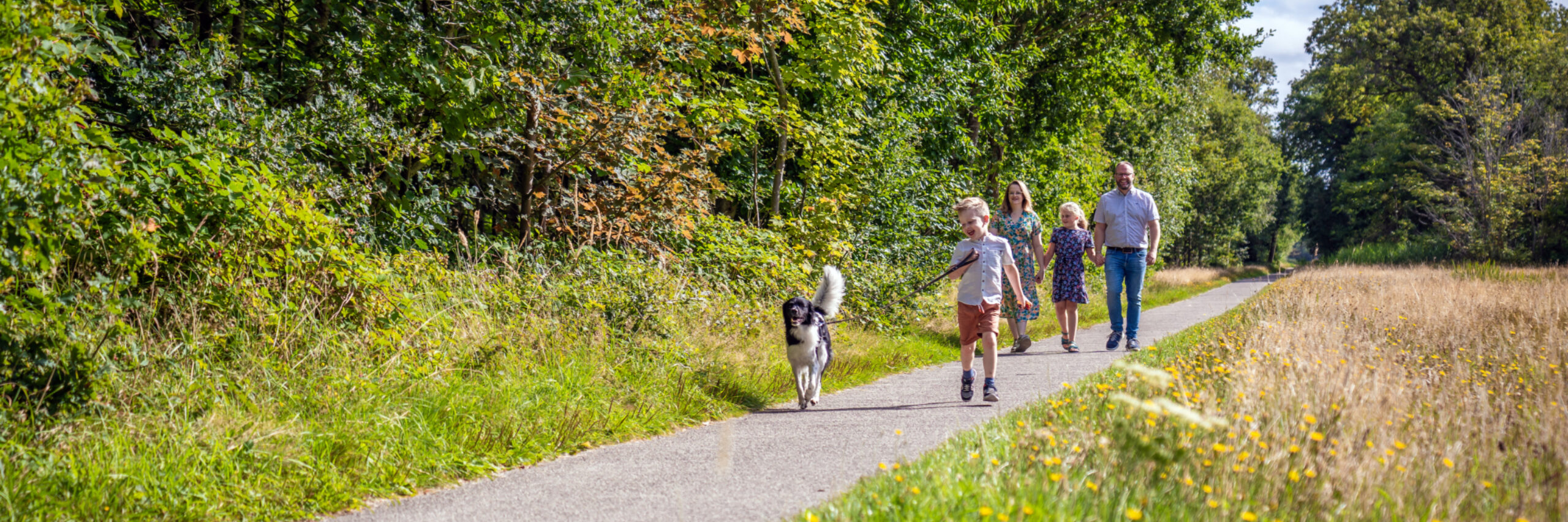 Wandelen met de hond in het bos