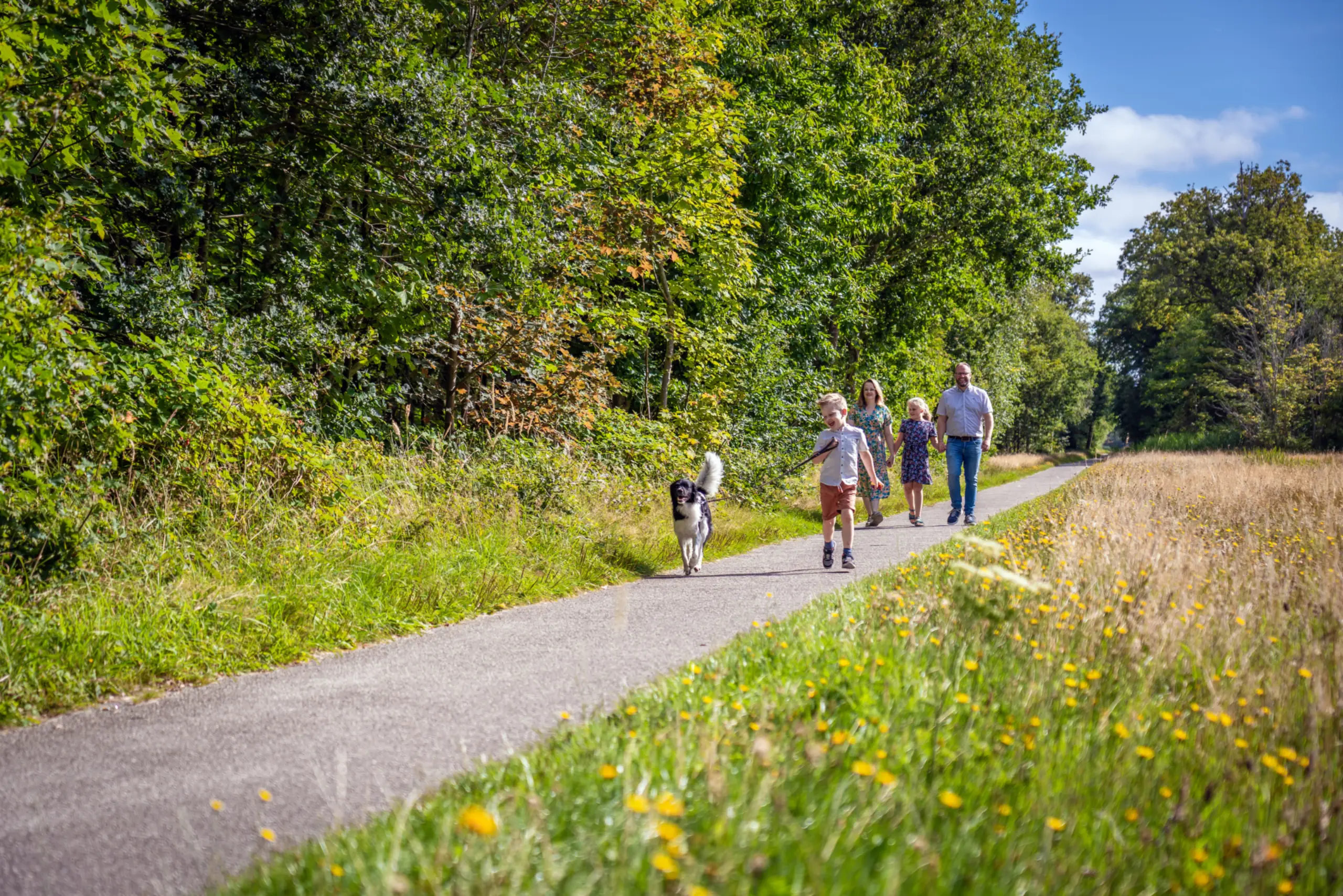 Wandelen met de hond in het bos