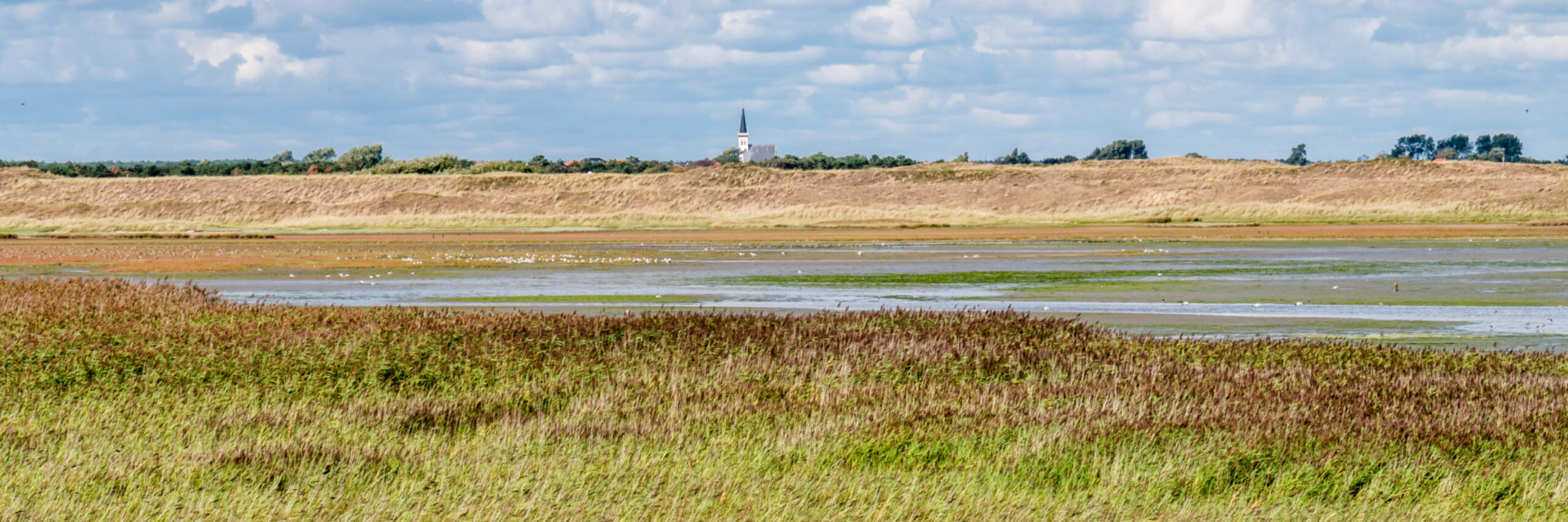 De Mokbaai