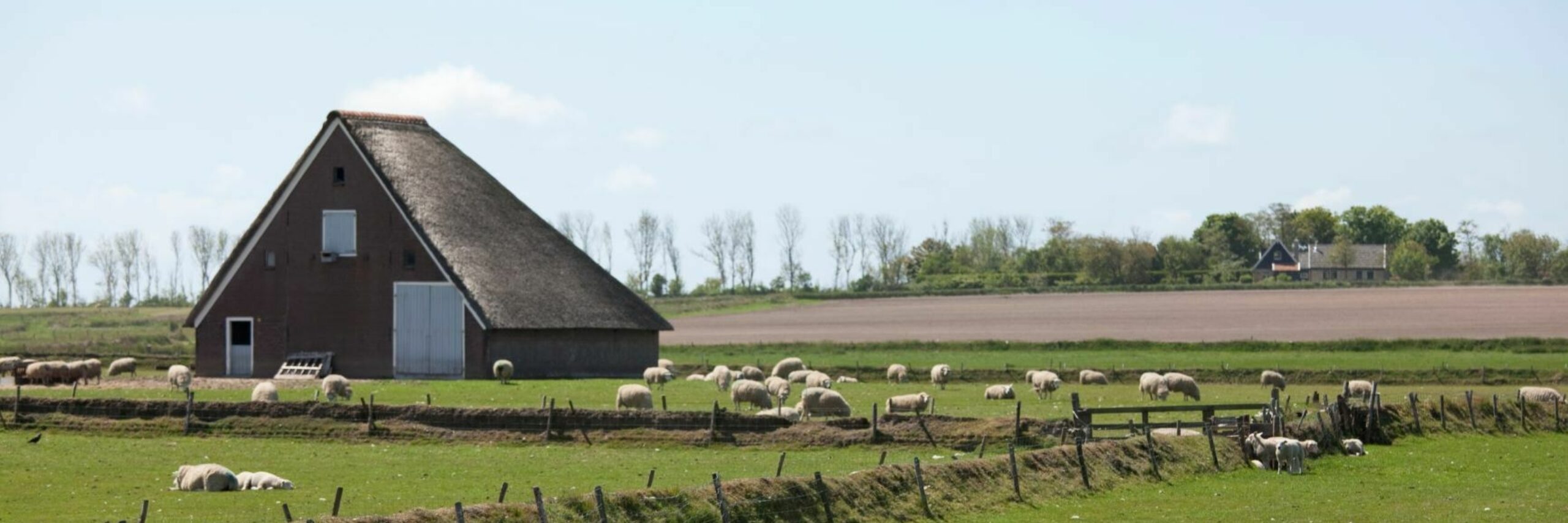 De Hoge Berg met schapenboet