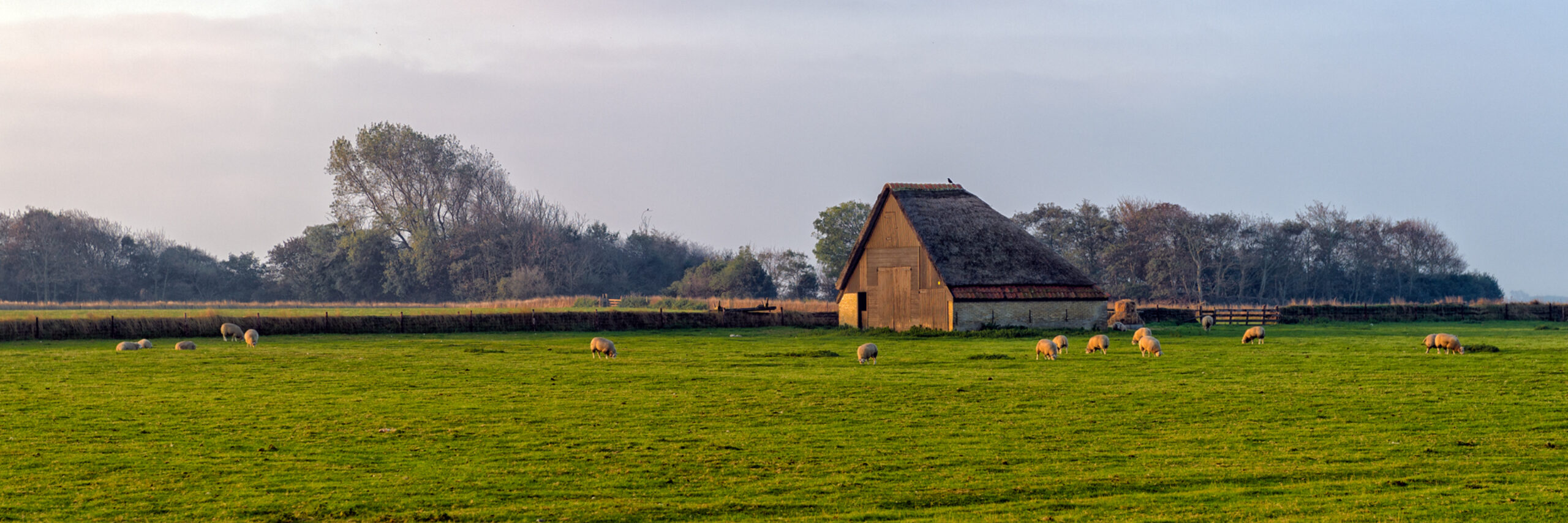 Schapenboet in de winter landschap fotograaf Roel Ovinge VVV Texel