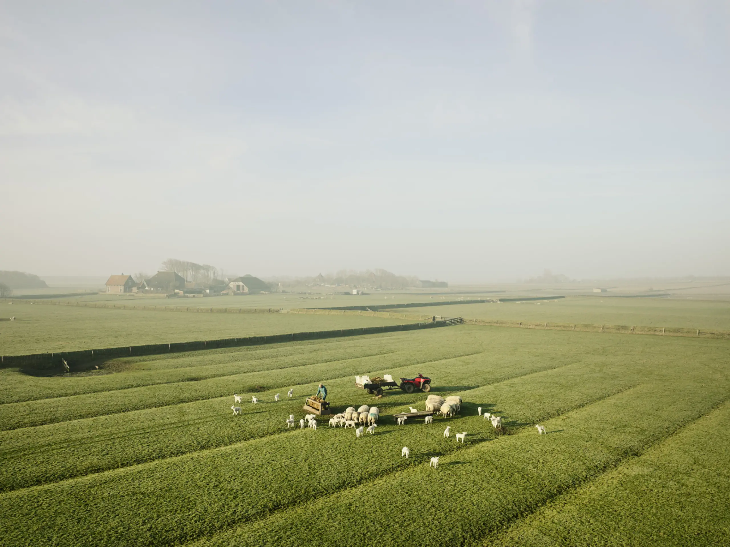 De Hoge Berg op Texel