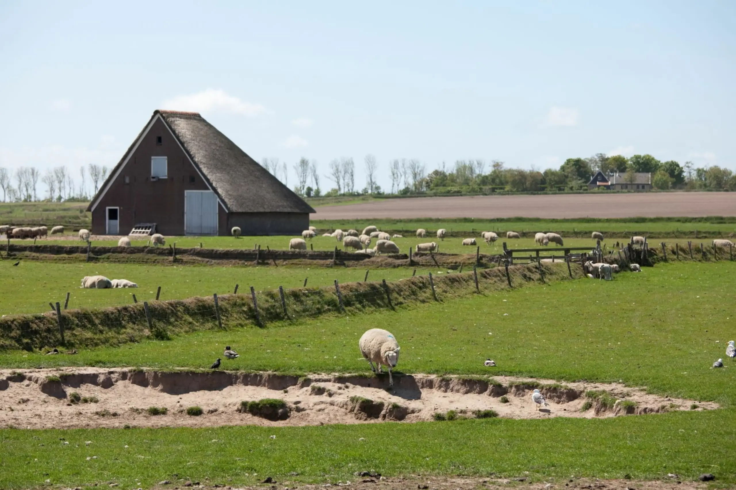 Hoge Berg mit Schafstall