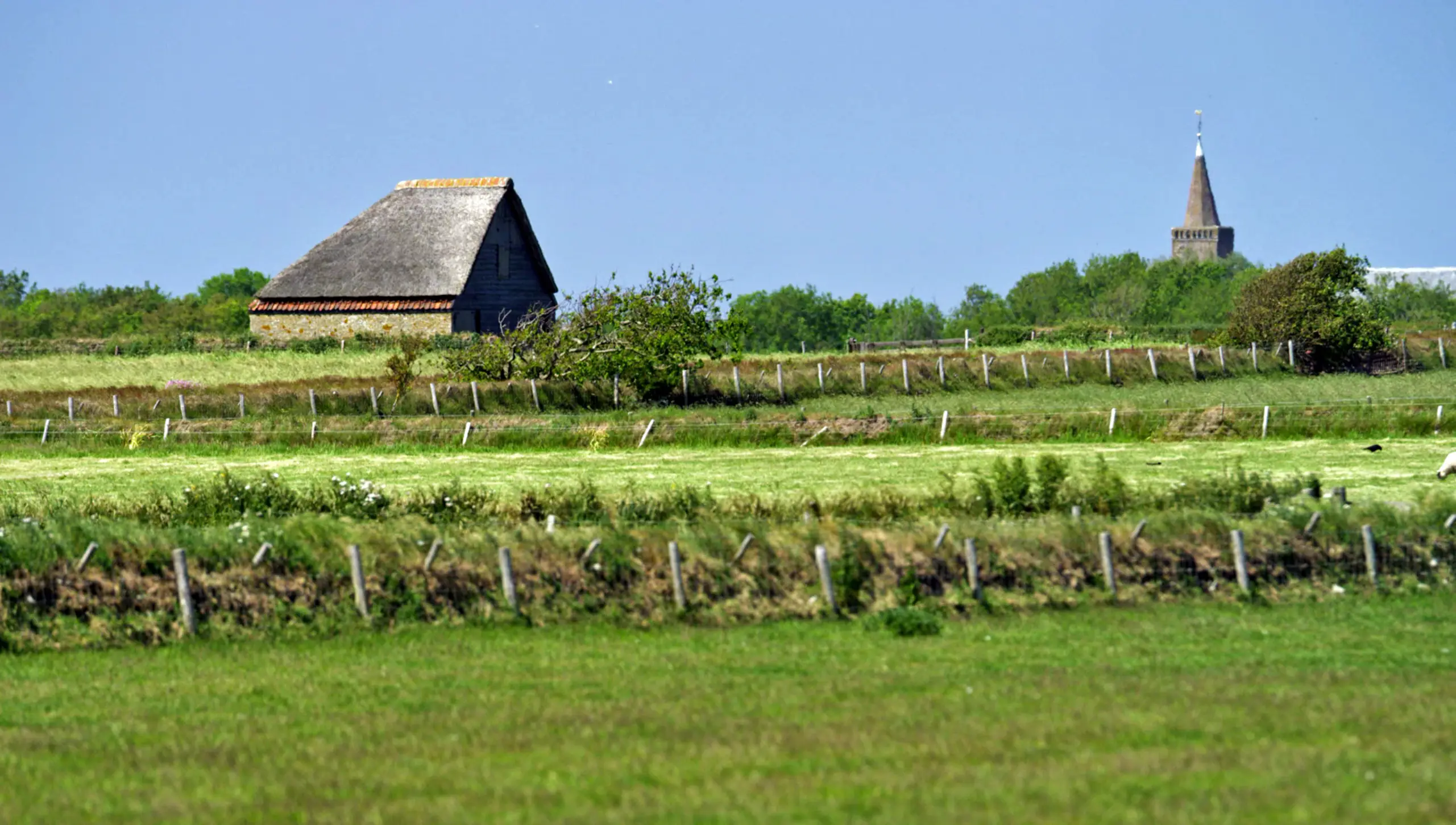 Die Schafslandschaft würde verschwinden, wenn keine Lämmer verkauft würden