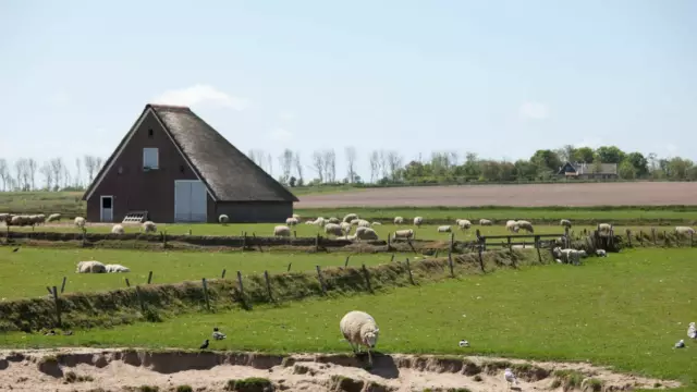 Hoge Berg mit Schafstall