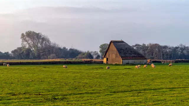 Schapenboet in de winter landschap fotograaf Roel Ovinge VVV Texel