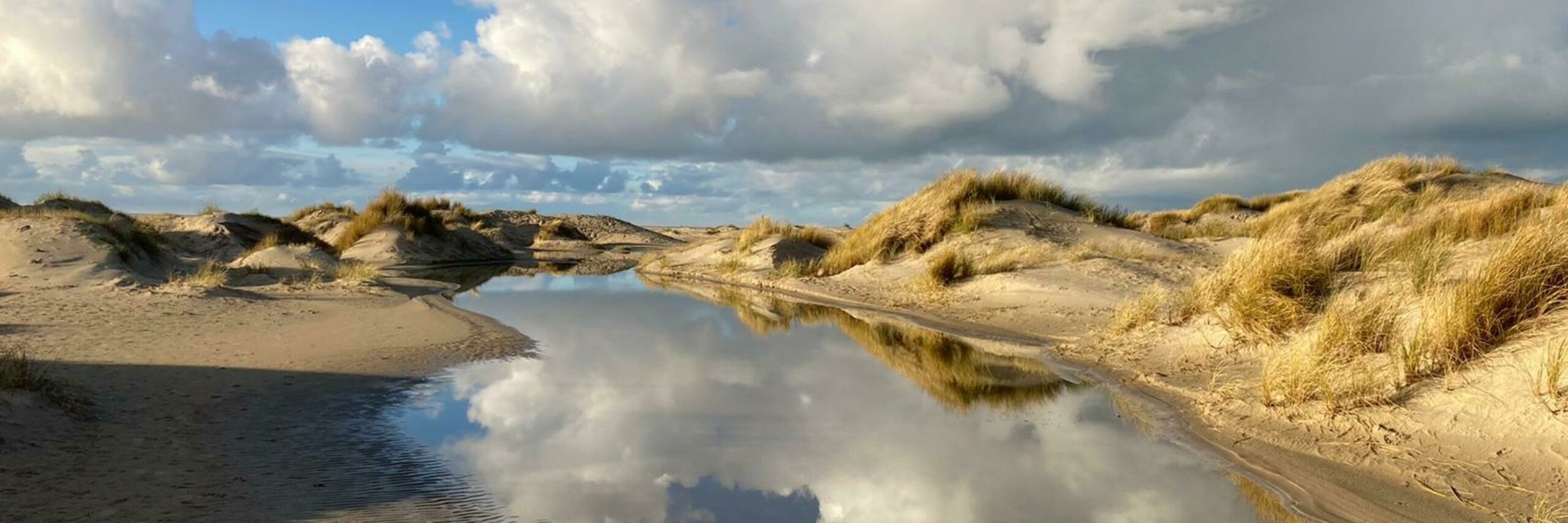 Hors route foto Anne Marie Kortenhoeven VVV Texel