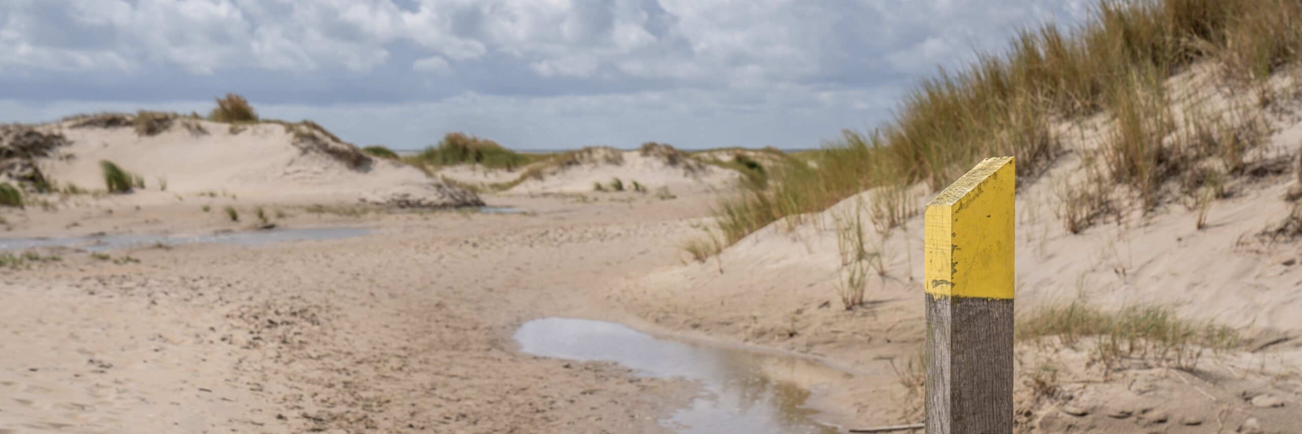 Wandelpad op De Hors