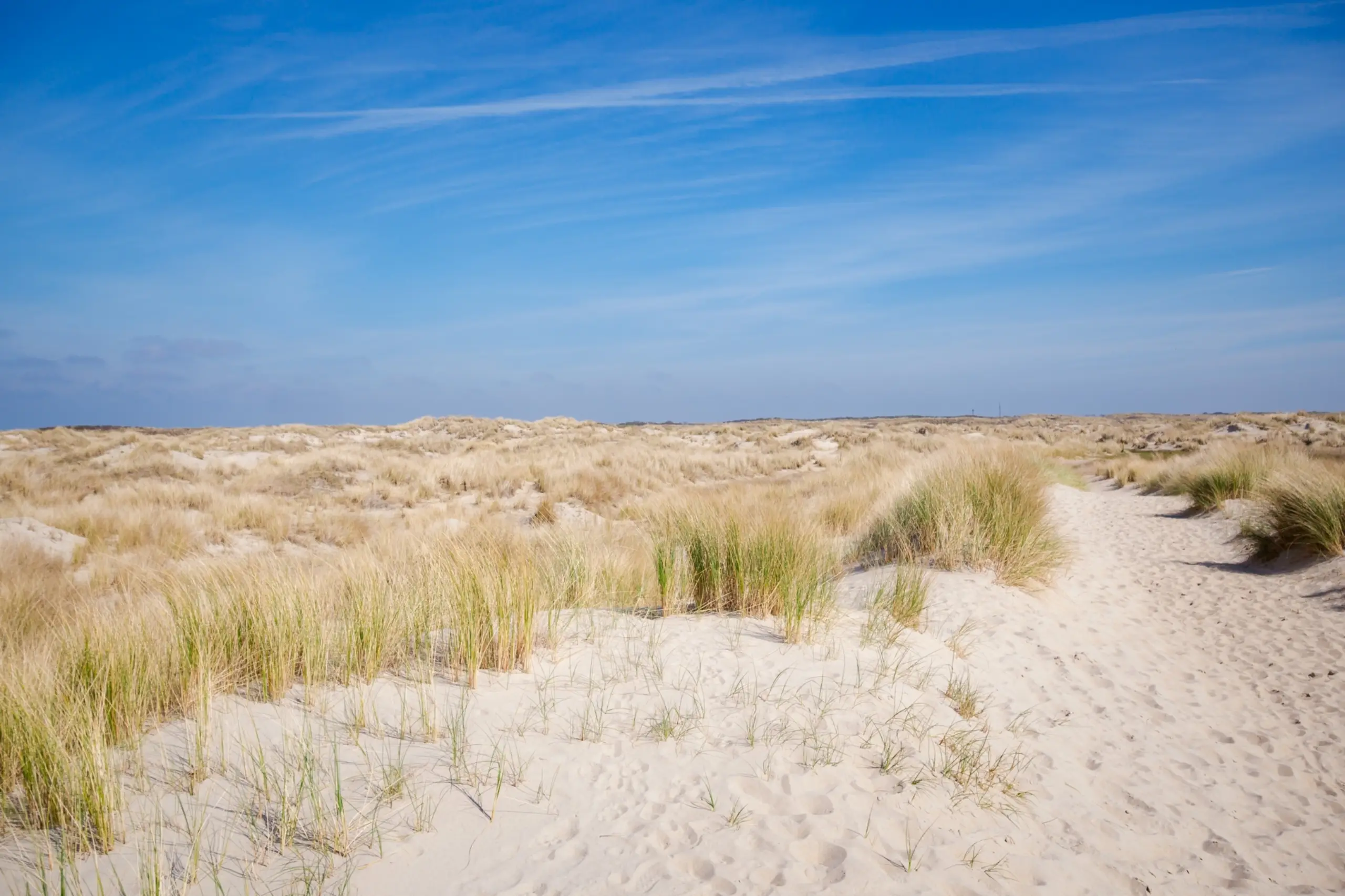 Duinen bij De Hors