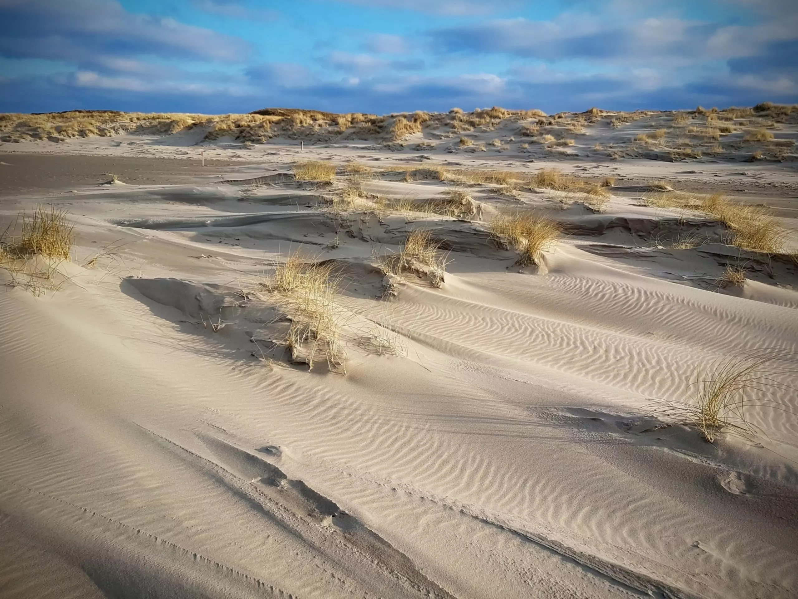 Duinen
