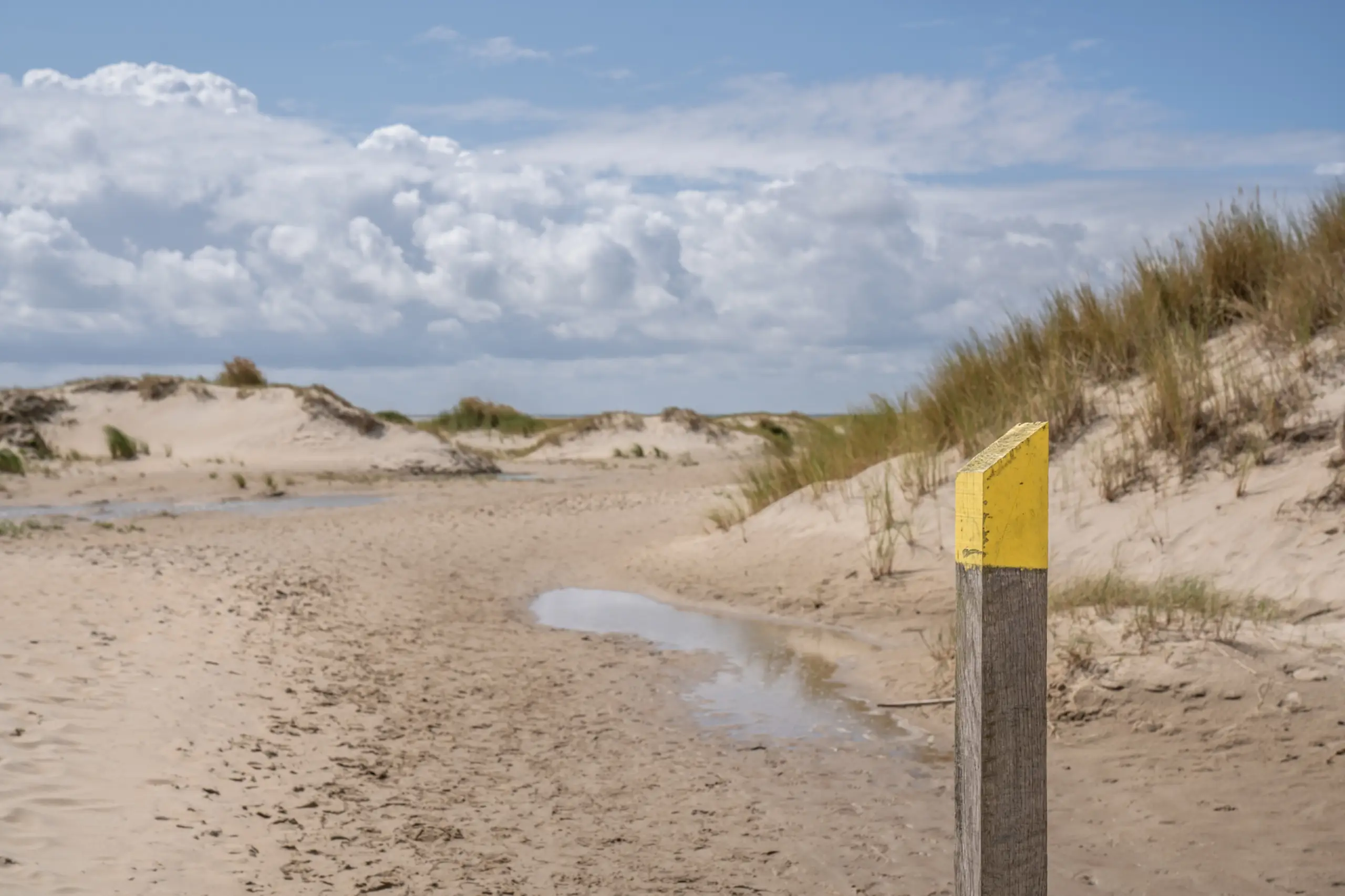 Wandelpad op De Hors