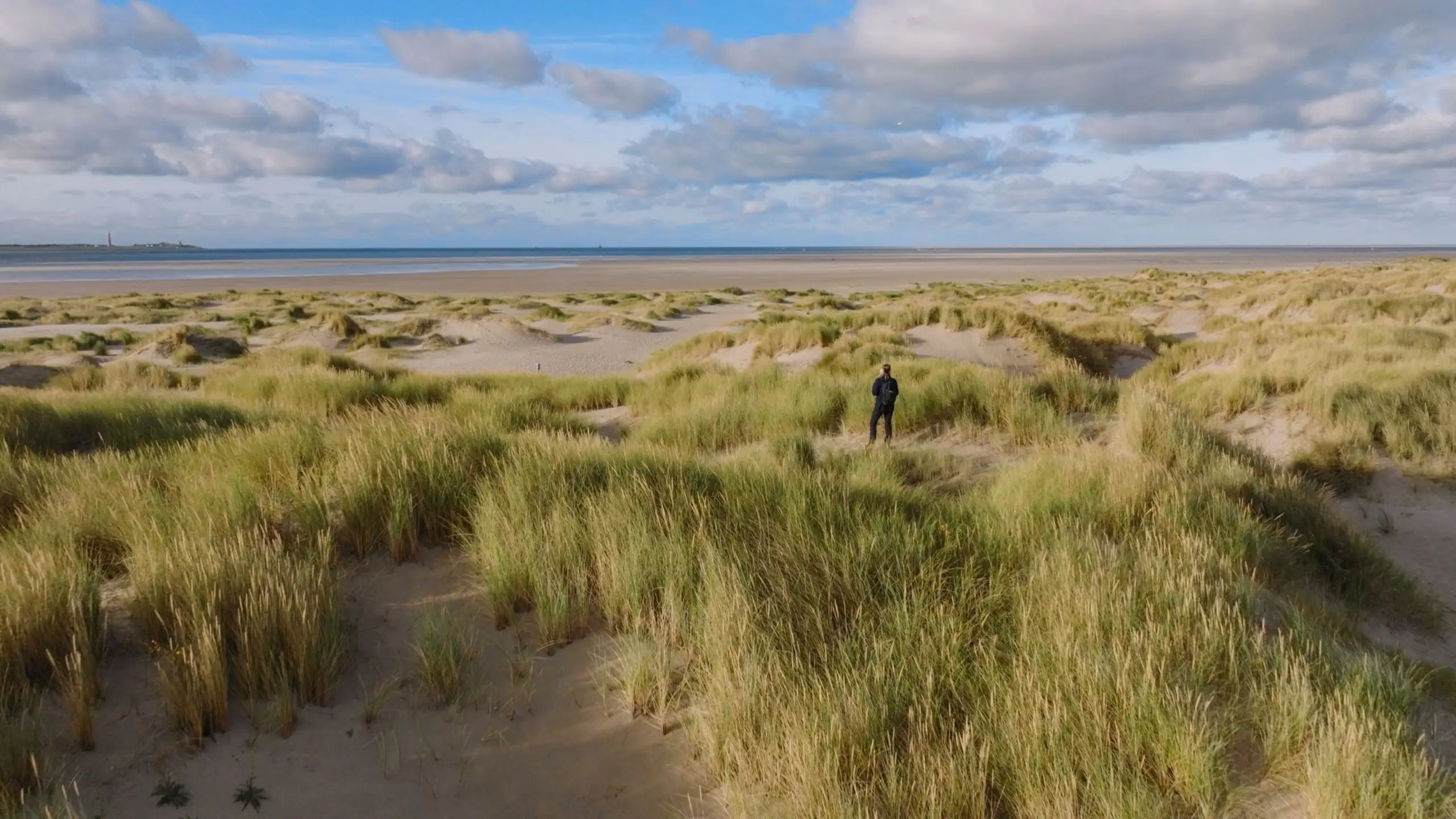 De Hors Texel