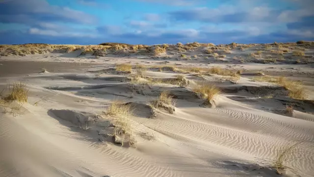 Duinen