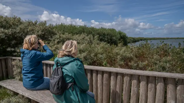 Vogelkijkpunt de Waterral