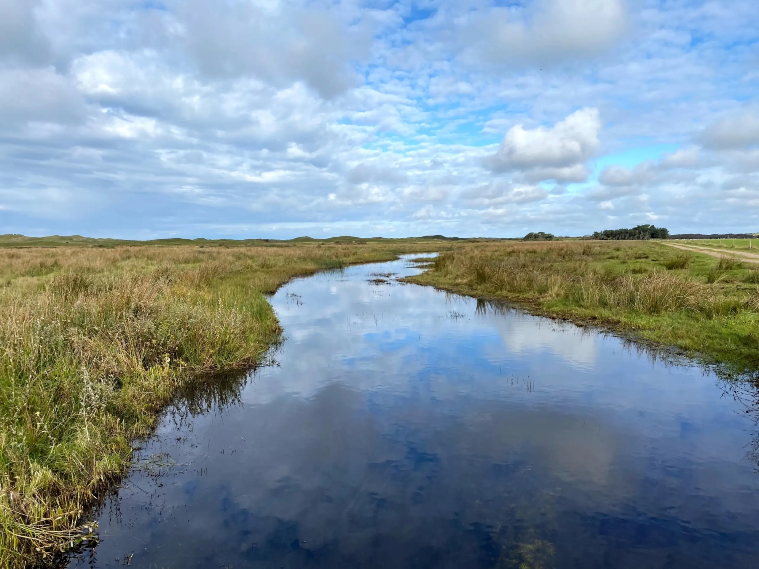 Kreek De Nederlanden
