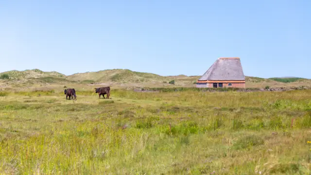 De Nederlanden Boet van Hopman 02 C Gertha Wessels
