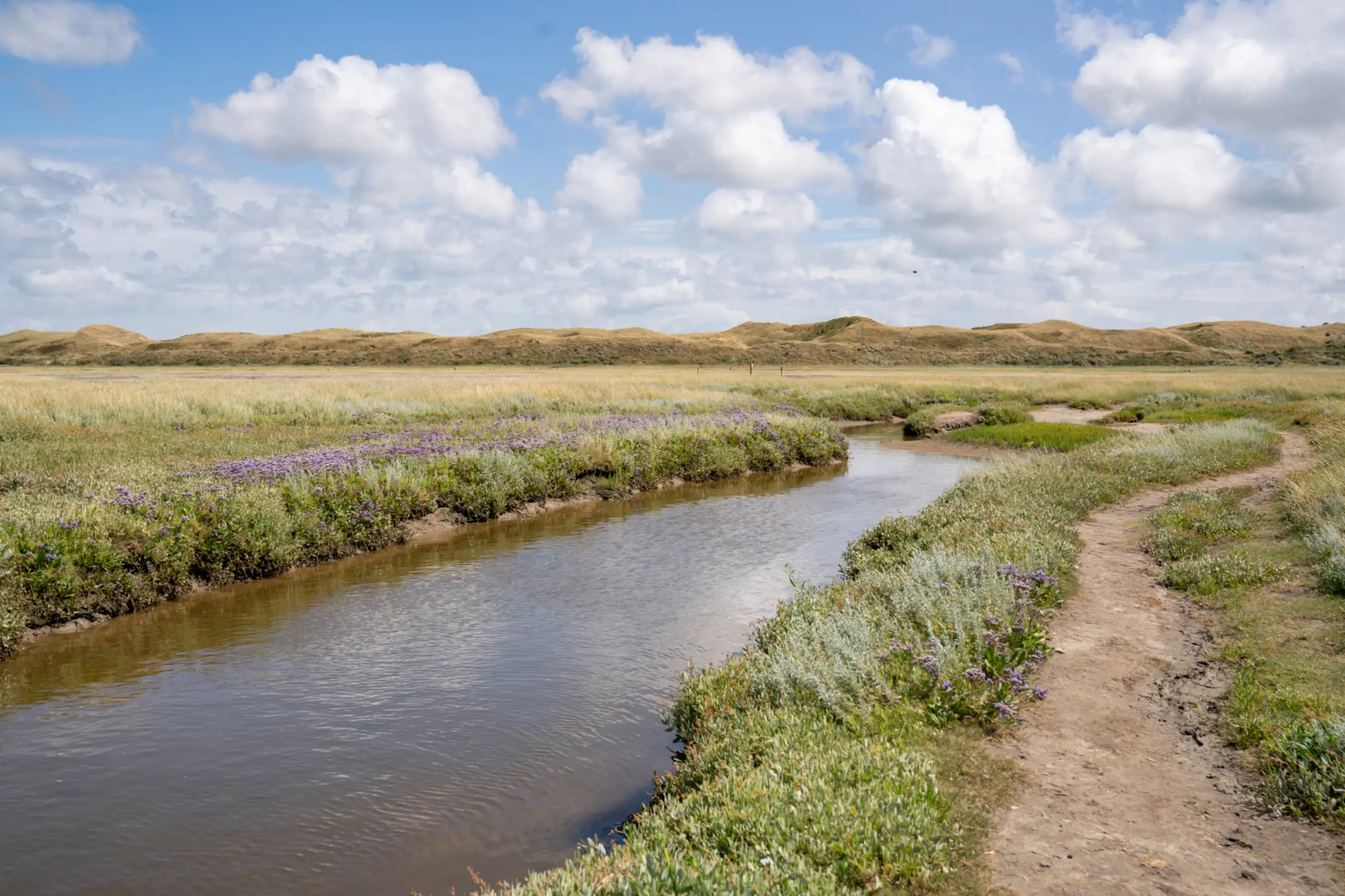 Wandelpad in De Slufter