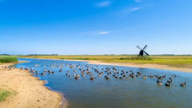 Waal en Burg