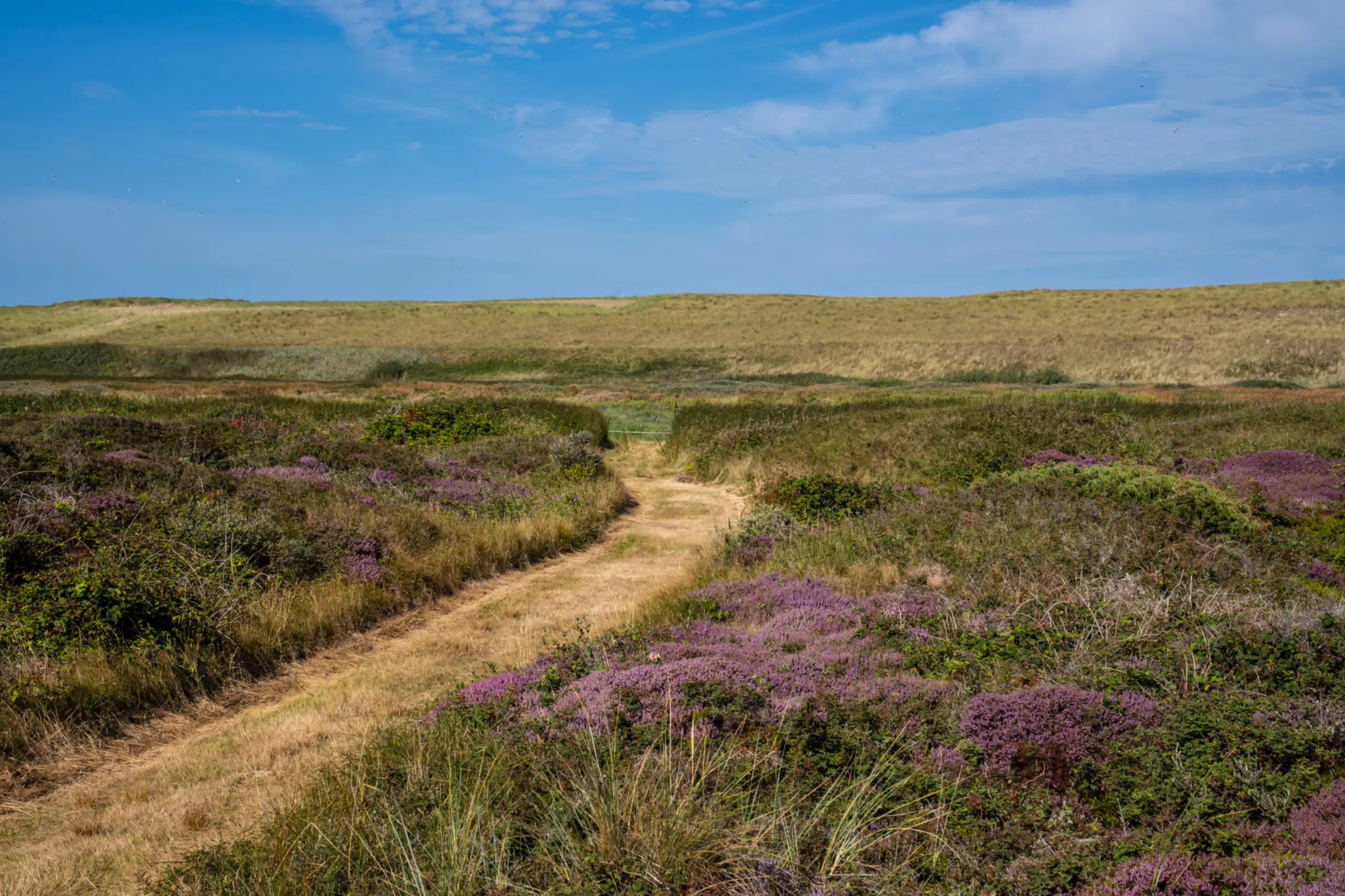 Grüne Route Westerduinen