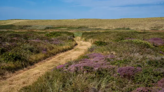Westerduinen groene pad VVV03327