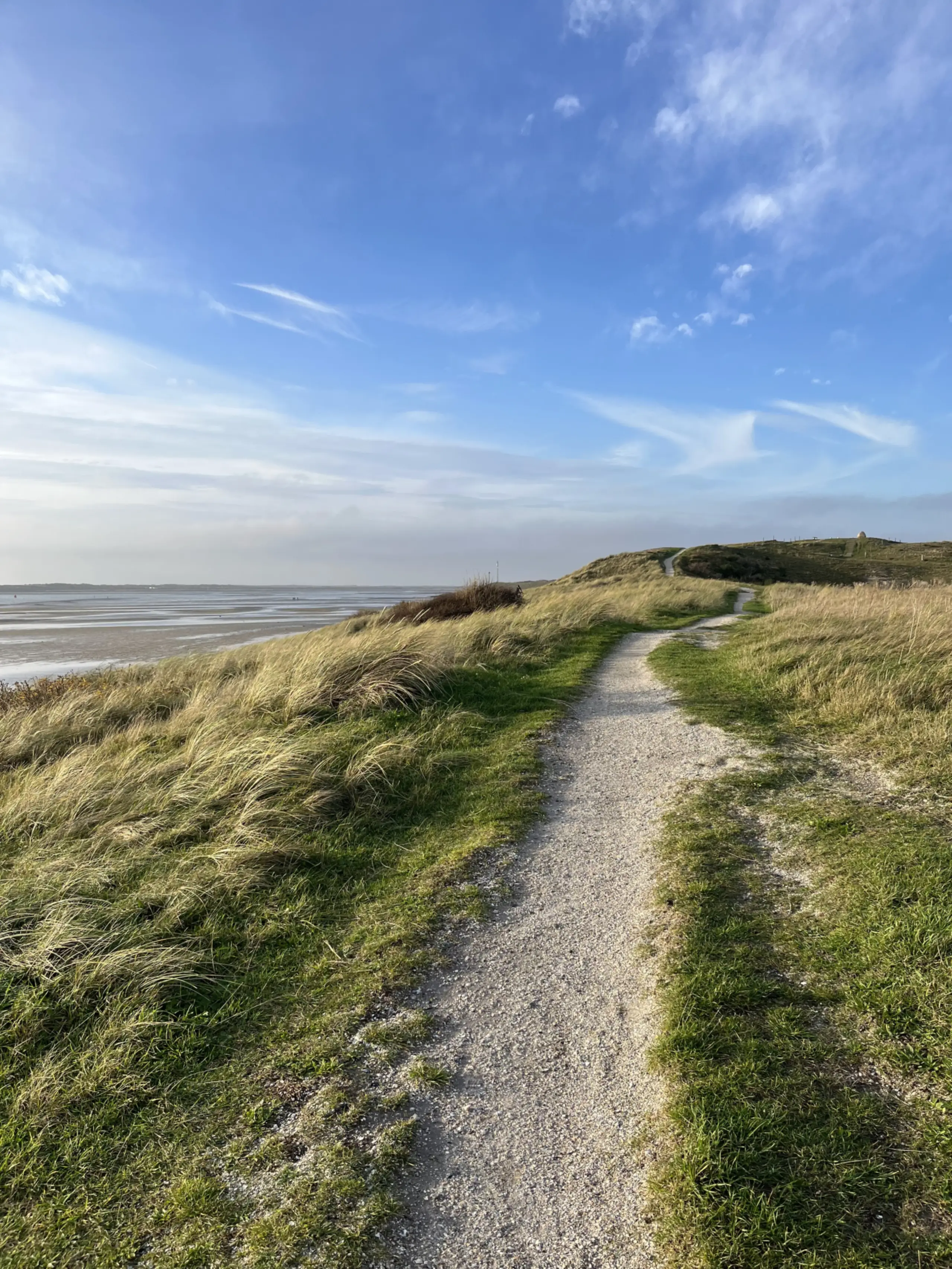 Wandelpad langs De Mokbaai