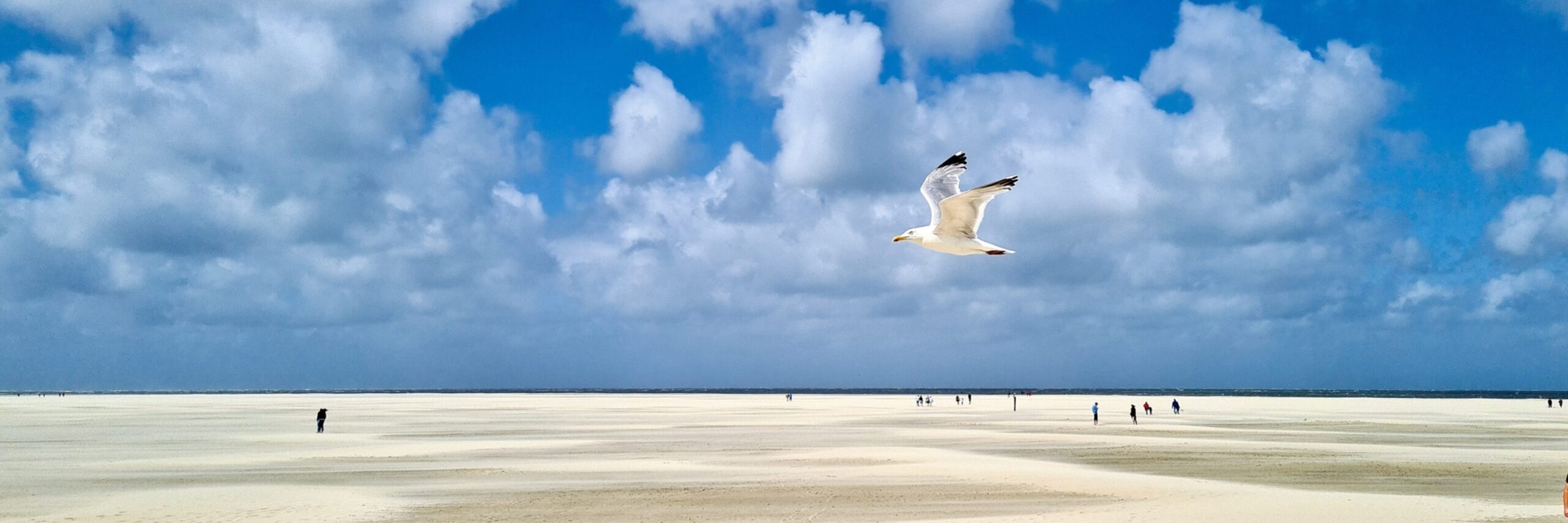 Het strand VVV Texel fotograaf Jessica Janssen