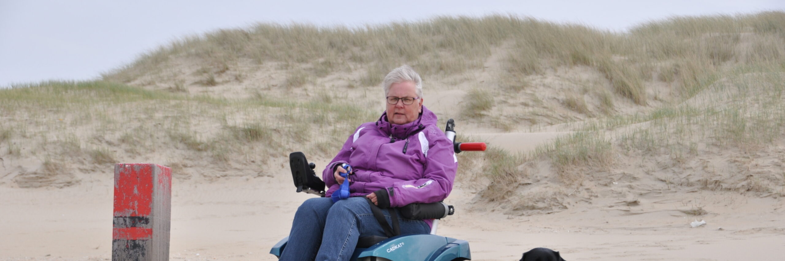 Mit dem Cadweazle am Strand