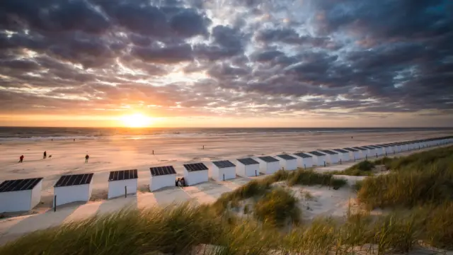 Beach houses
