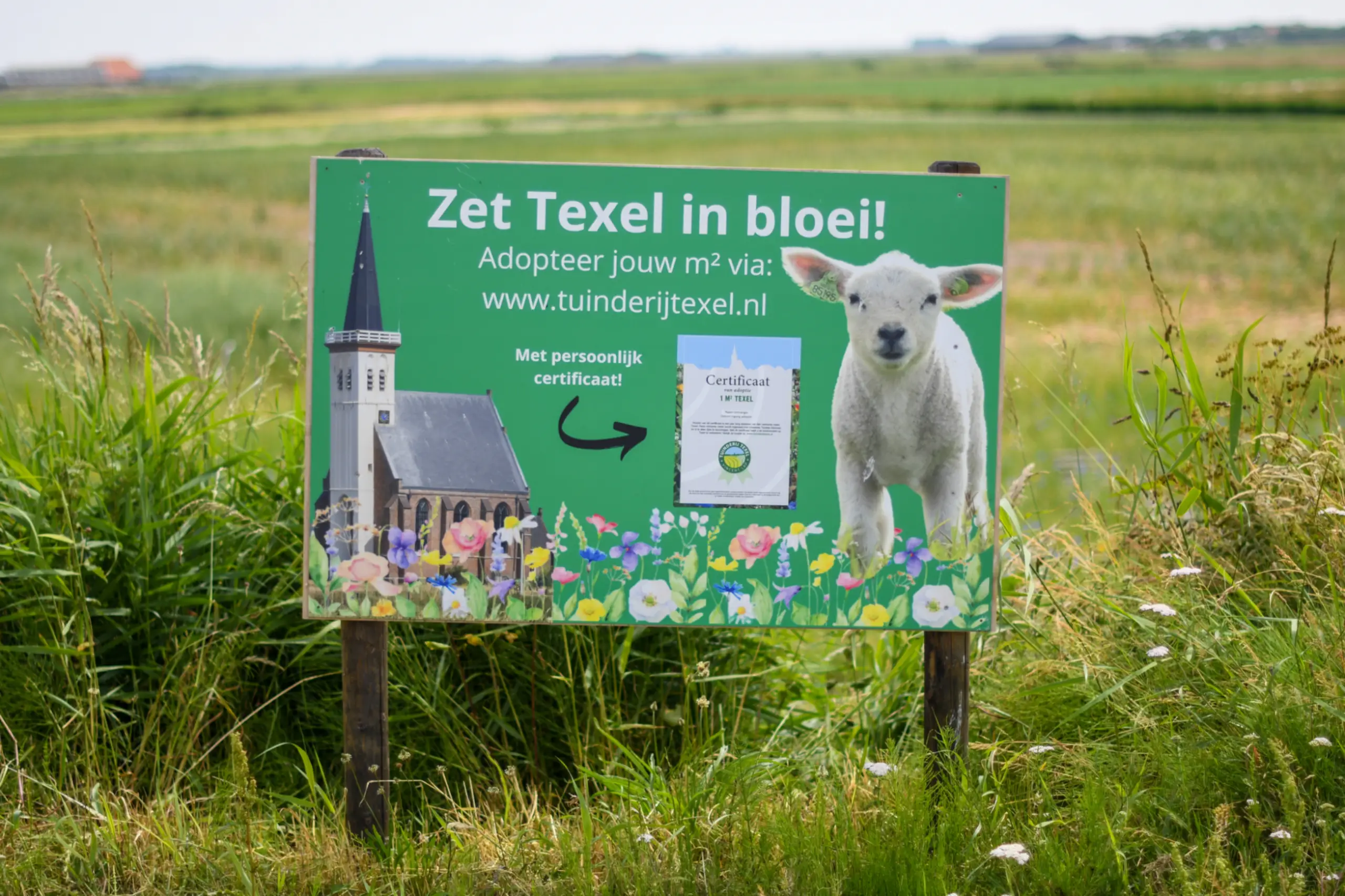 Een vierkante meter Texels bloemenveld