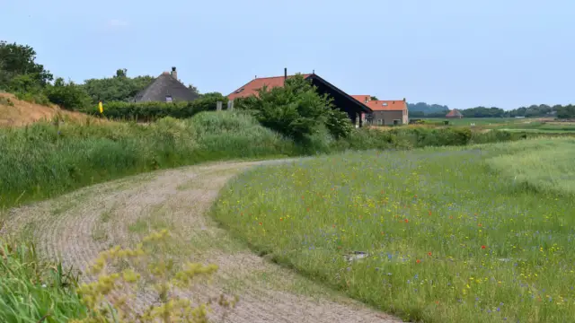 Een stukje bloemenweide