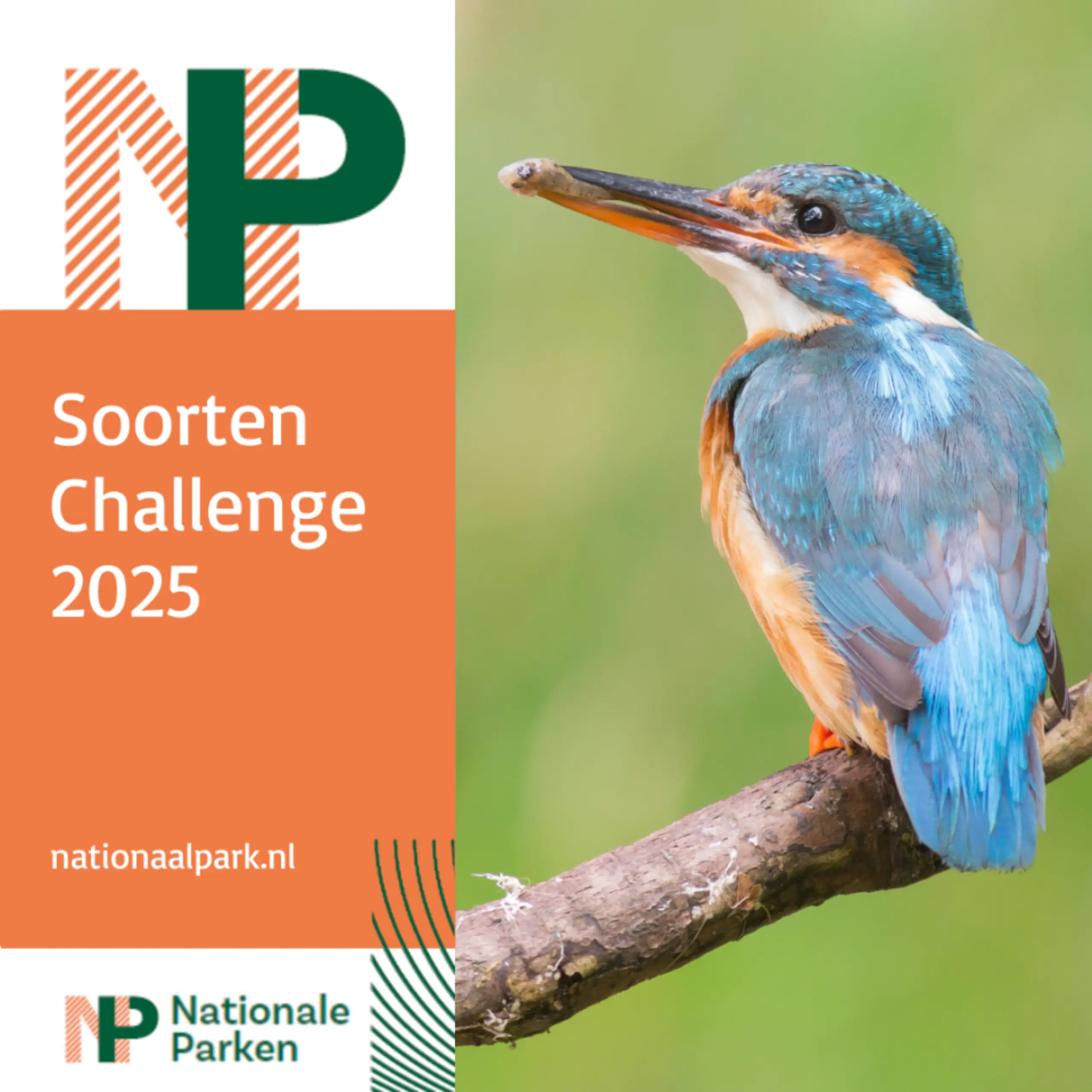 Soorten Challenge