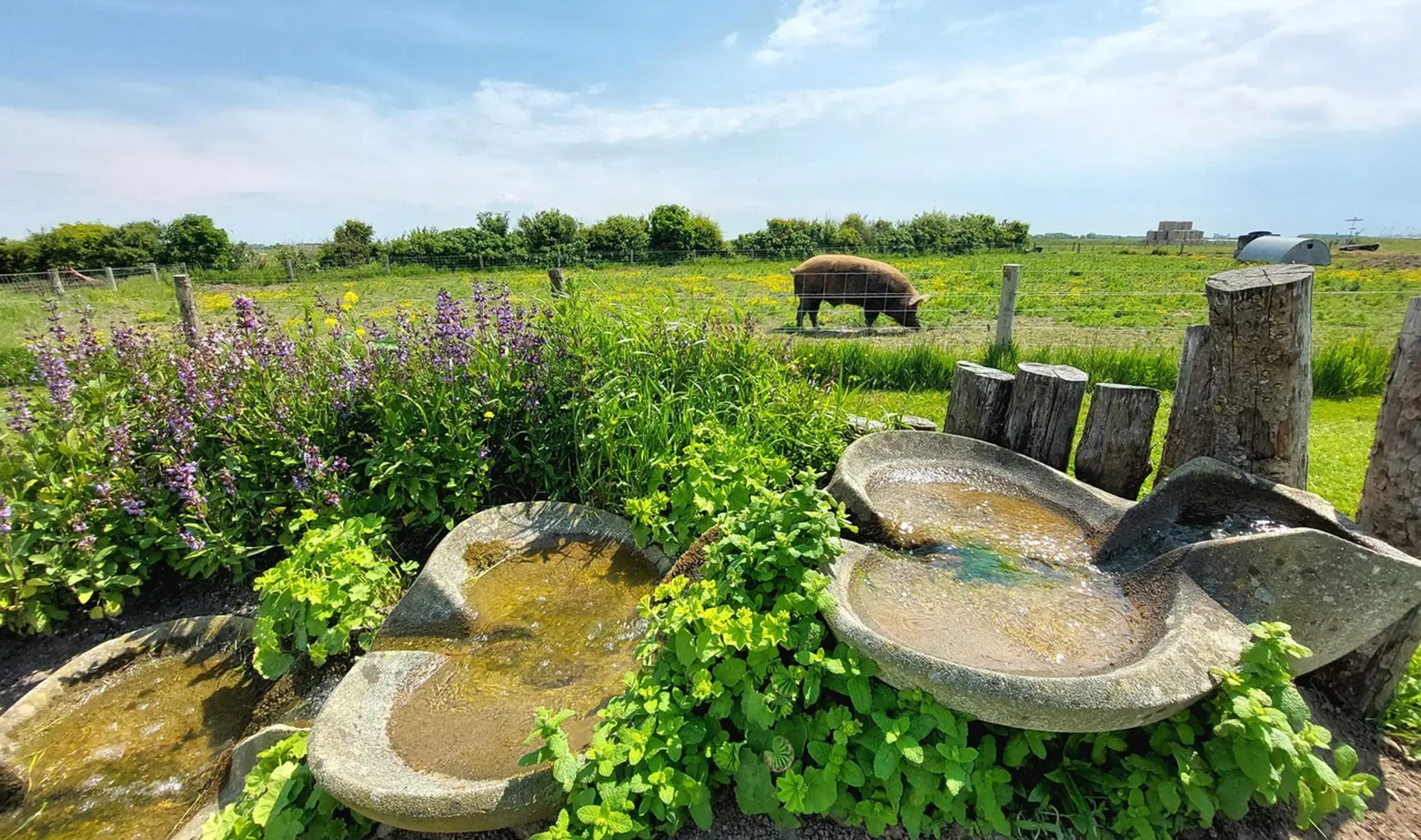 Tuin Novalishoeve