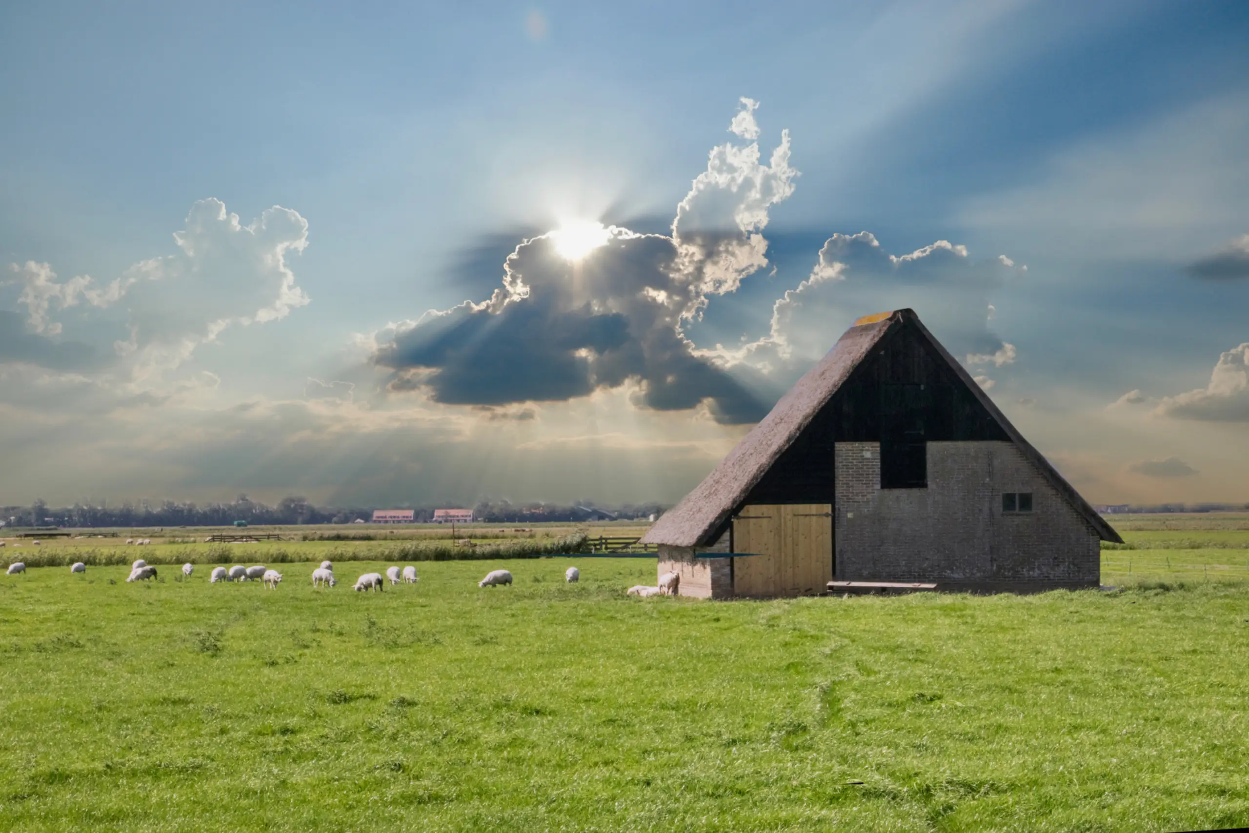 Schapenboet met prachtige lucht