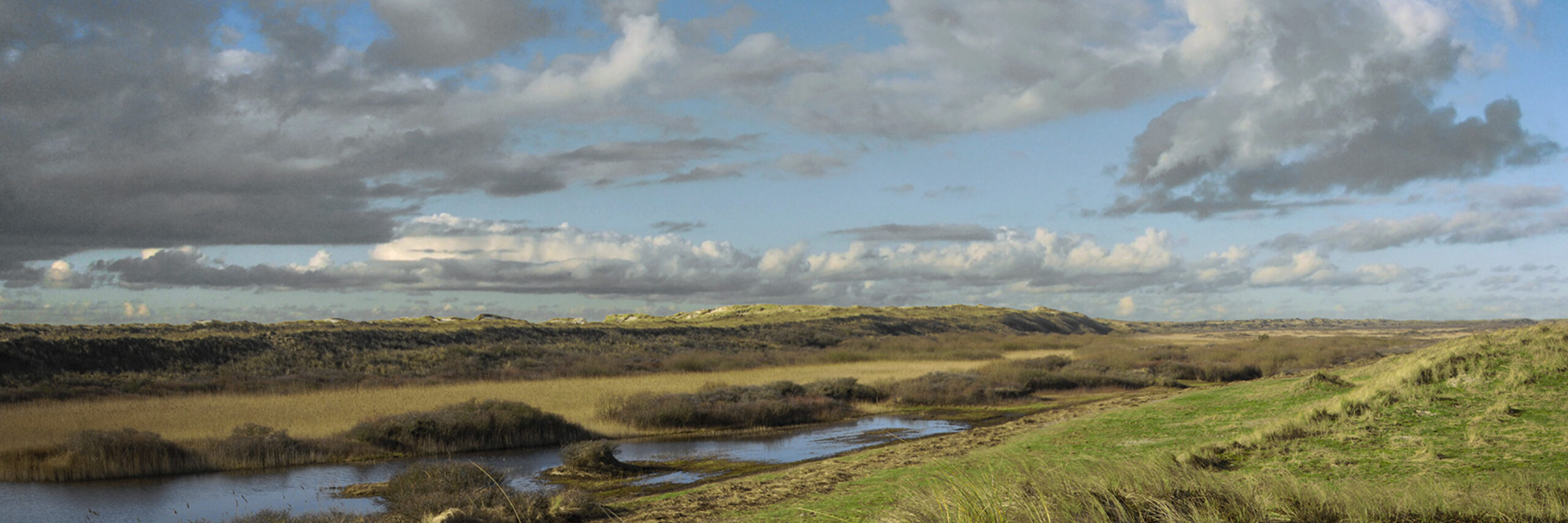 Het avontuurlijke zuiden Kreeftenpolder