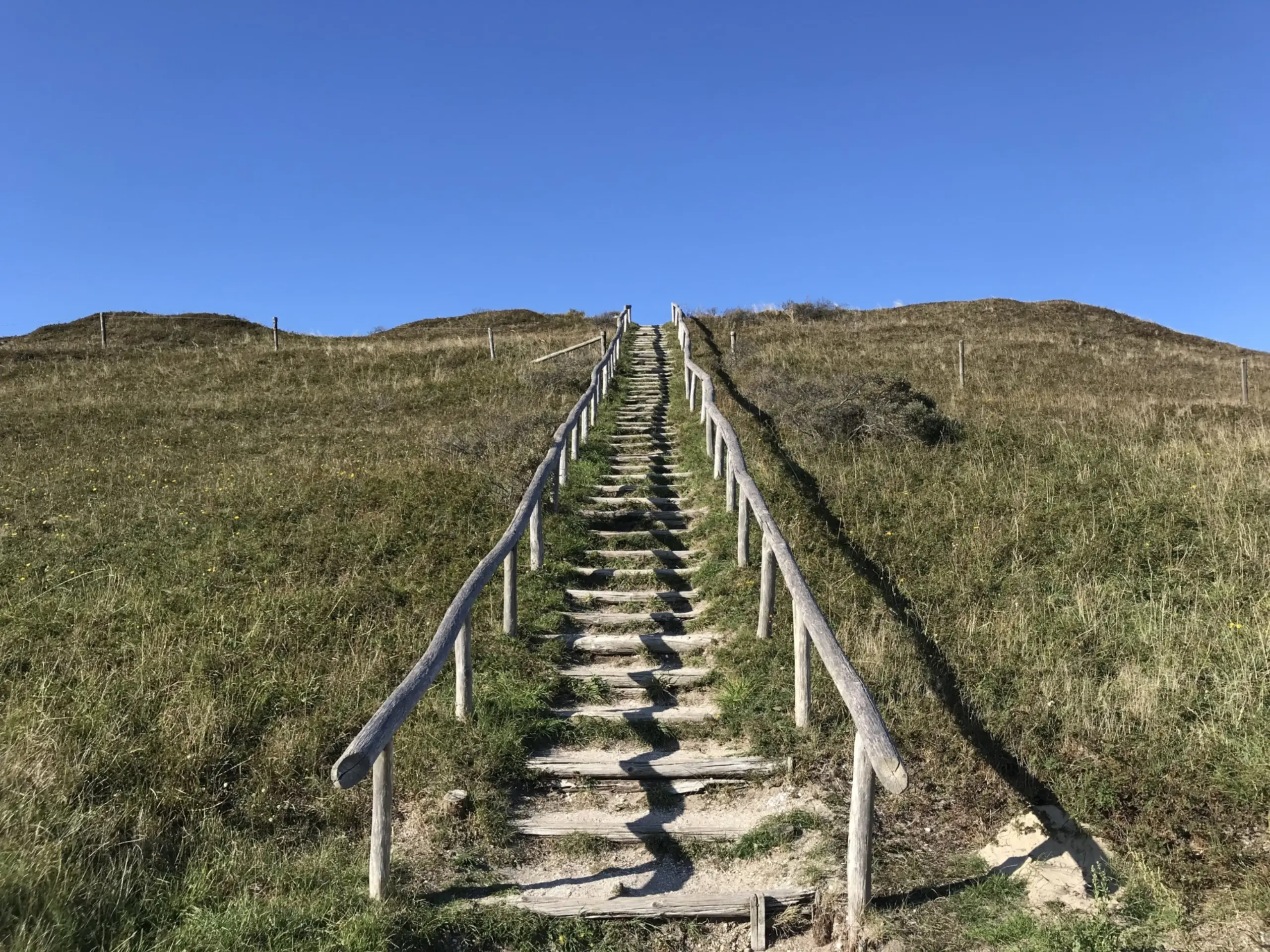 Trap naar de Bertusnol