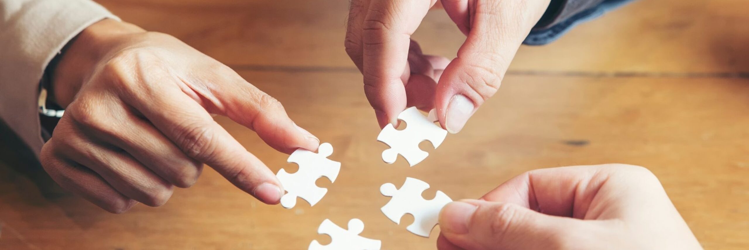 Partners van VVV Texel puzzelstukjes VVV Texel