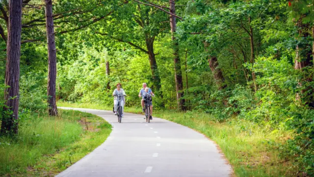 Fietsen in het bos