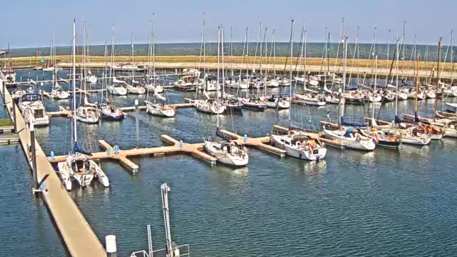 Webcam Waddenhaven Oudeschild